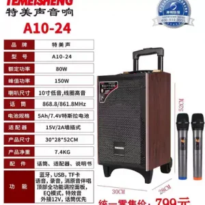 Temeisheng A10-24 блютуз колонка динамик 10" 2микрофона