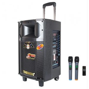 Temeisheng QX 12-09 корпус дерево 2 микрофона 300Вт