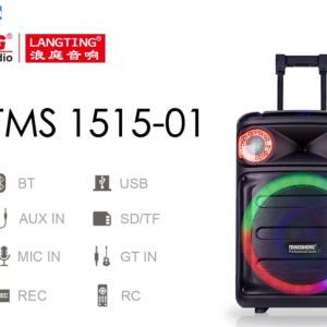 Аккумуляторная колонка Temeisheng TMS-1515