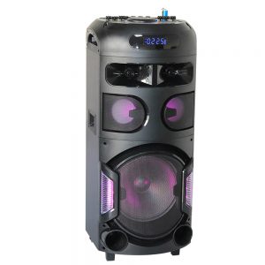 ProAudio BM 200 блютуз колонка два динамика 2*12"