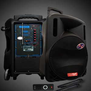 Мощная колонка А15-1 на аккумуляторе с микрофоном