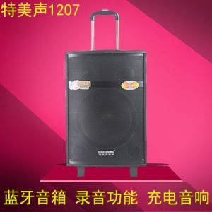 Мощная колонка Temeisheng QX 1207 на аккумуляторе с микрофоном