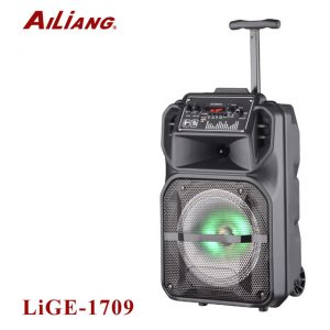 AiLiang LiGe 1709 bluetooth колонка новая модель 8" динамик
