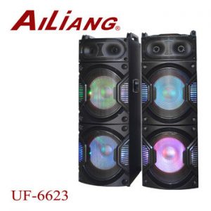 AILIANG UF-6623 две колонки 12" 80W