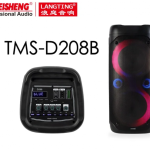 Аккумуляторная колонка Temeisheng TMS-D208