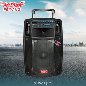 Temeisheng SL1201 аккумуляторная bluetooth колонка с микрофонами