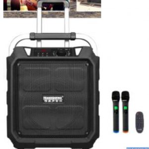 Колонка 12" Temeisheng SL 12-10