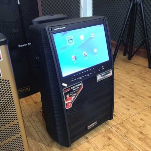 Портативная колонка c экраном SL12-13 с 2 микрофонами / 200W