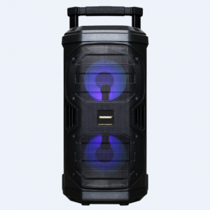 Аккумуляторная колонка TEMEISHENG SL 208-22