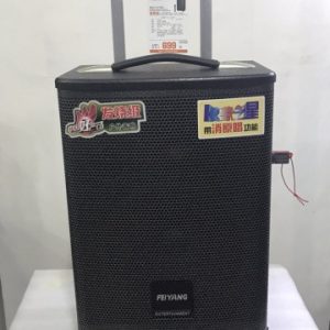 Портативная акустика QX0862 на аккумуляторе с микрофном