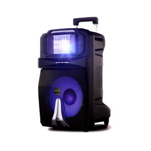 Аккумуляторная колонка TEMEISHENG SL 1509