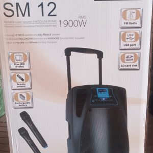 Колонка аккумуляторная 2 микрофона динамик 12" Temeisheng SM 12
