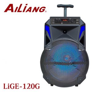 AILIANG LiGe-120G 12"  bluetooth колонка