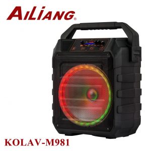 AILIANG LiGe-982 12"  bluetooth колонка 15W