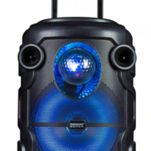 Temeisheng 1210 bluetooth колонка 60W 12"