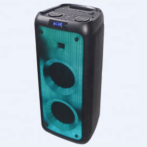 Temeisheng VPMS WOOX500 bluetooth колонка 30W 6"