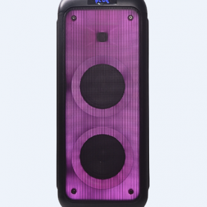 Temeisheng 2619 bluetooth колонка 1000W 10*2"