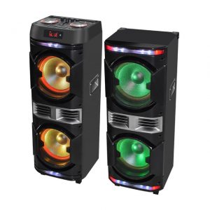 PROAUDIO 1010 парные аккумуляторные блютуз колонки 2 радиомикрофона