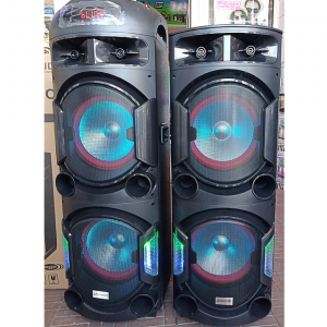 PROAUDIO 1212 парные аккумуляторные блютуз колонки 2 радиомикрофона