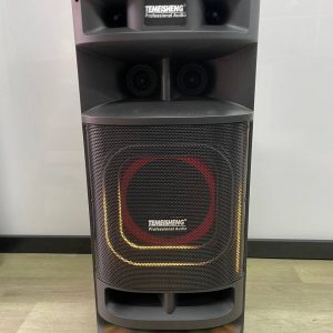 Temeisheng 10301 динамик 10" 2микрофона