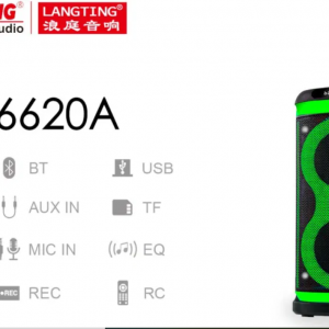 Temeisheng 6620A bluetooth колонка 2*6.5" два микрофона