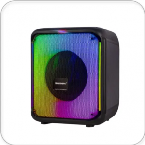 Temeisheng 6828-01 bluetooth колонка 8" 2 микрофона