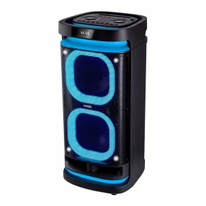 Temeisheng 6838D bluetooth колонка 2*8"