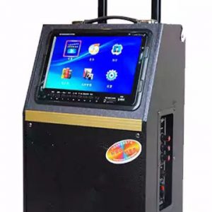 Колонка аккумуляторная c экраном 12" Ailiang 8-13