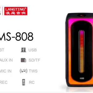 Аккумуляторная колонка Temeisheng TMS-808