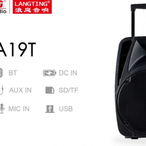 Temeisheng A19T bluetooth колонка 12" два микрофона