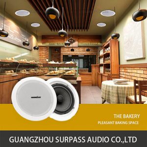 Потолочные динамики