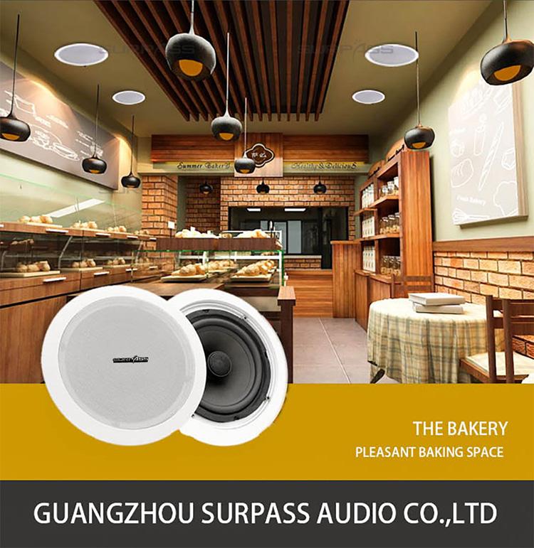 Потолочные динамики