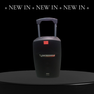 Temeisheng SL 12-32 динамик 12" 2 микрофона