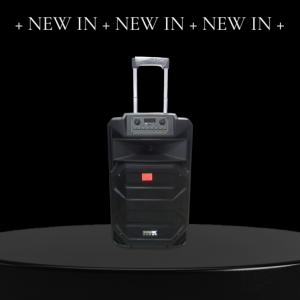 Temeisheng SL 15-31Т динамик 15" 2 микрофона 240Вт