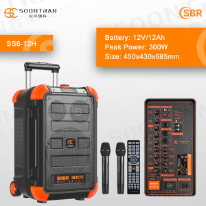 SOONTRAN SS6-12 Series 12" два микрофона