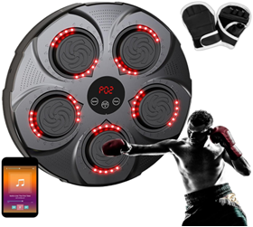 Мишень для бокса