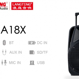 Temeisheng A18X bluetooth колонка 12" два микрофона