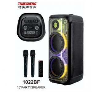 Temeisheng 1022BF 2*10 прозрачный корпус 2 микрофона