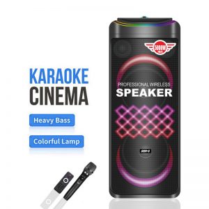 partybox-gd-1015-%d1%81-%d1%84%d1%83%d0%bd%d0%ba%d1%86%d0%b8%d0%b5%d0%b9-%d0%ba%d0%b0%d1%80%d0%b0%d0%be%d0%ba%d0%b5-160%d0%b2%d1%82