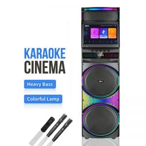 Караоке система динамик 2*12" с экраном мощность 160Вт GEDI-G 1423